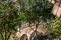 190301 Barcelona 2019 - Photo 0054