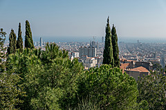 190301 Barcelona 2019 - Photo 0062