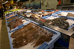 190301 Barcelona 2019 - Photo 0069
