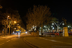 190301 Barcelona 2019 - Photo 0127
