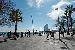 190301 Barcelona 2019 - Photo 0180