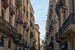 190301 Barcelona 2019 - Photo 0215