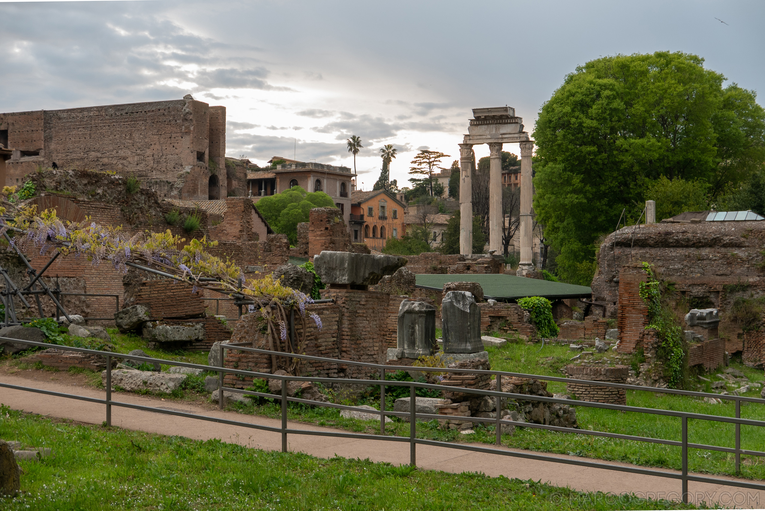 190410 Roma 2019 - Photo0201 of 387