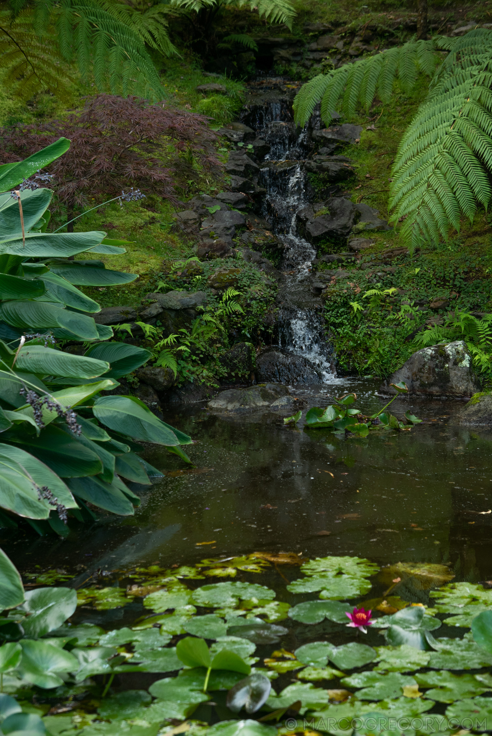 190916 Azores and Lisbon - Photo0132 of 513