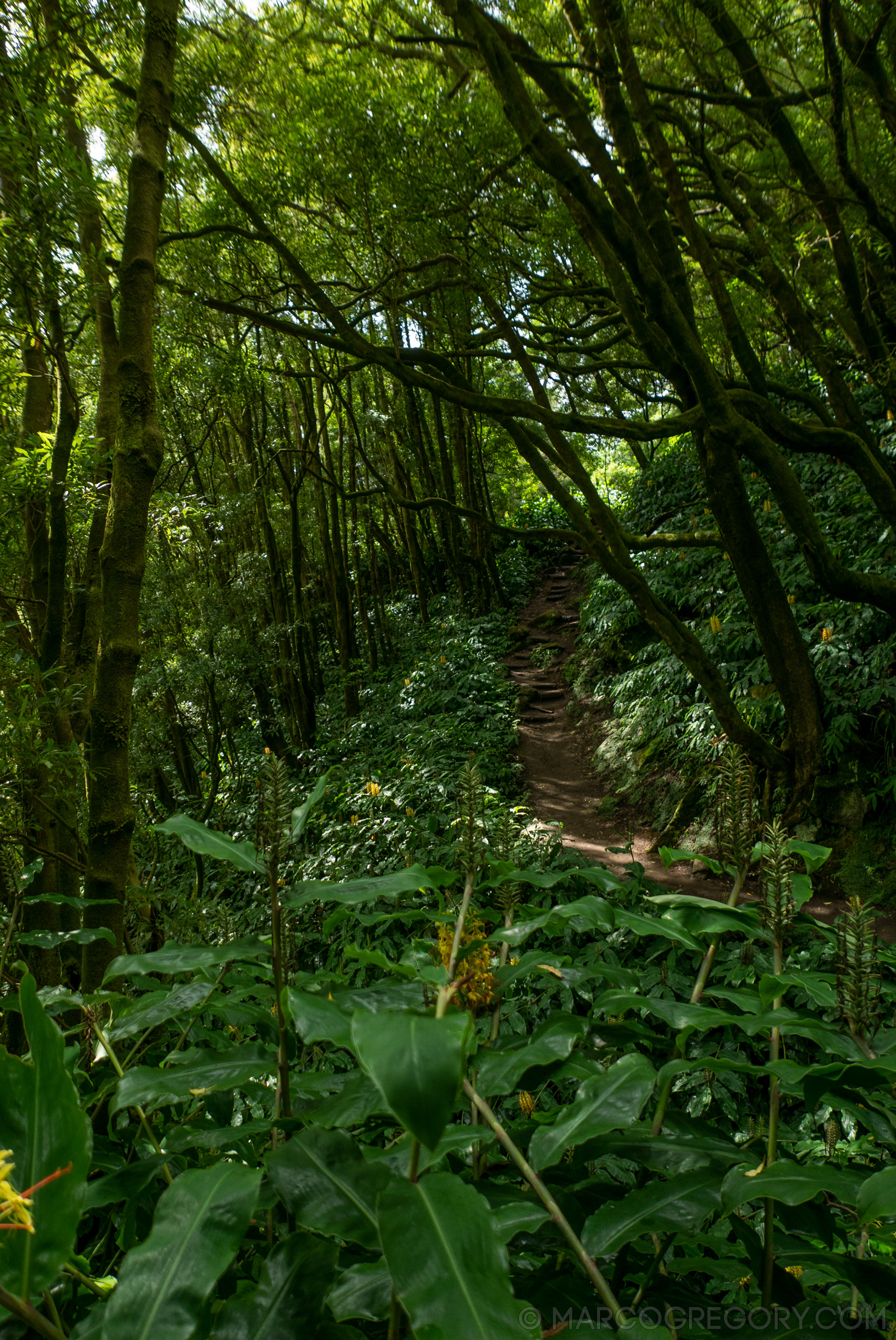 190916 Azores and Lisbon - Photo0194 of 513