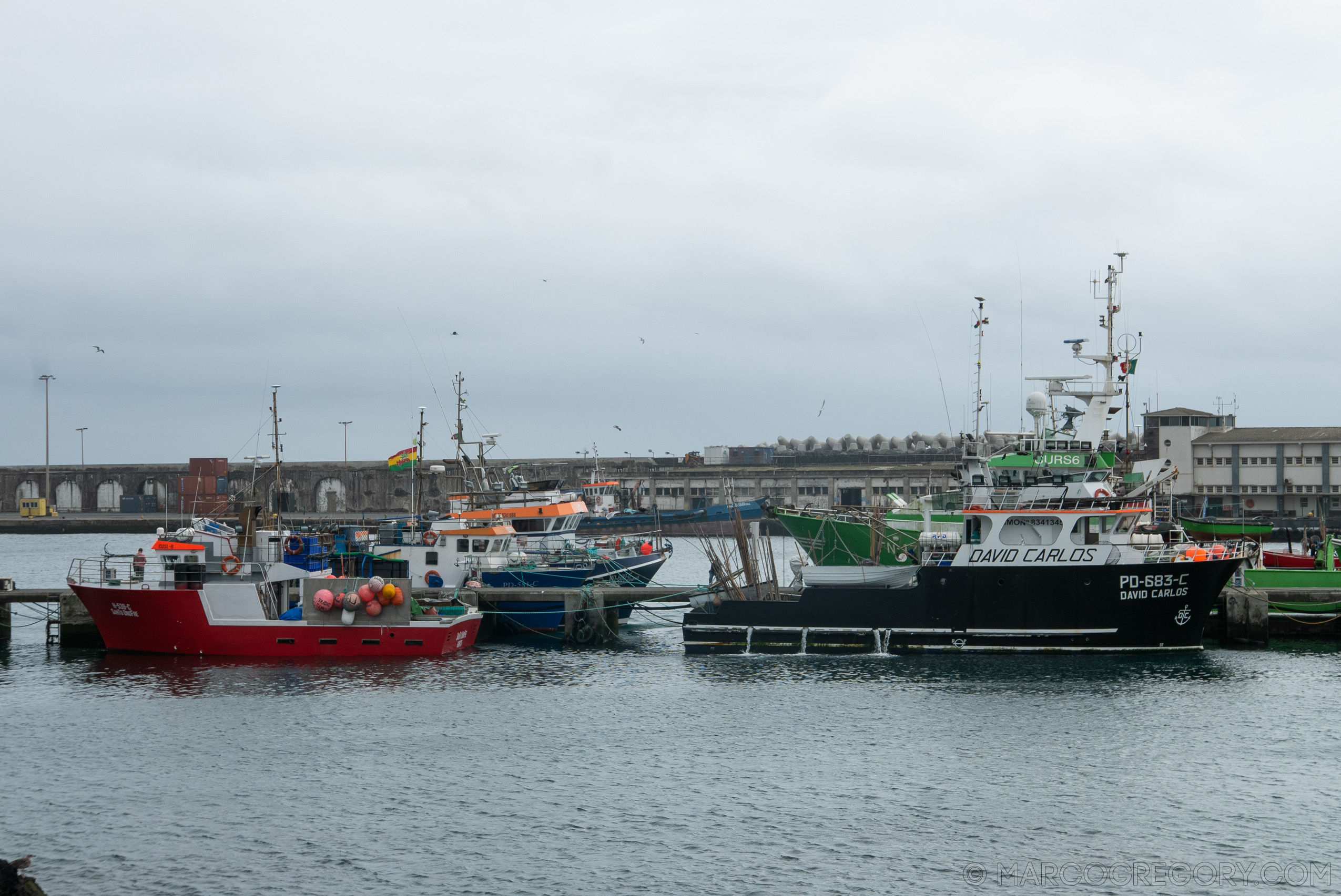 190916 Azores and Lisbon - Photo0391 of 513
