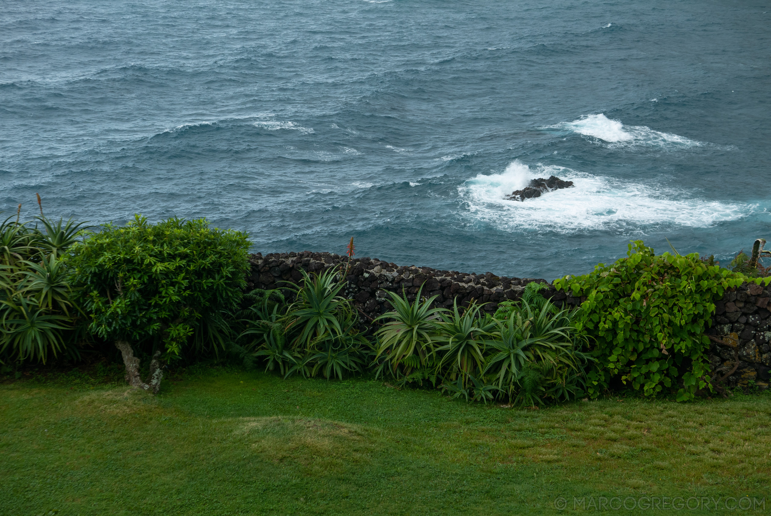 190916 Azores and Lisbon - Photo0401 of 513