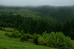 190916 Azores and Lisbon - Photo 0046