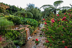 190916 Azores and Lisbon - Photo 0071