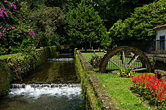 190916 Azores and Lisbon - Photo 0095