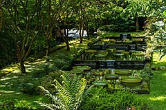 190916 Azores and Lisbon - Photo 0097