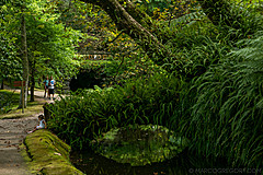 190916 Azores and Lisbon - Photo 0118
