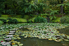 190916 Azores and Lisbon - Photo 0124
