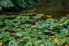 190916 Azores and Lisbon - Photo 0133