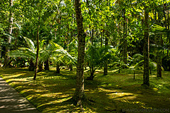 190916 Azores and Lisbon - Photo 0137