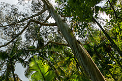 190916 Azores and Lisbon - Photo 0139