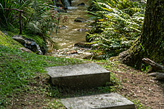 190916 Azores and Lisbon - Photo 0142