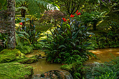190916 Azores and Lisbon - Photo 0149