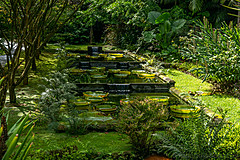190916 Azores and Lisbon - Photo 0155