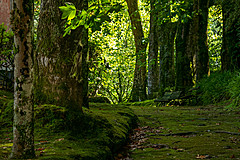 190916 Azores and Lisbon - Photo 0161