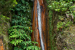 190916 Azores and Lisbon - Photo 0173