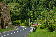 190916 Azores and Lisbon - Photo 0176