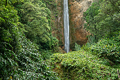 190916 Azores and Lisbon - Photo 0177