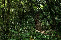 190916 Azores and Lisbon - Photo 0194