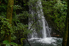 190916 Azores and Lisbon - Photo 0201
