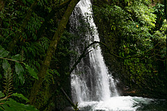 190916 Azores and Lisbon - Photo 0202