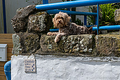 190916 Azores and Lisbon - Photo 0212