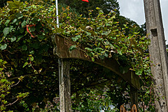 190916 Azores and Lisbon - Photo 0213