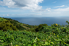 190916 Azores and Lisbon - Photo 0214