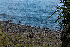 190916 Azores and Lisbon - Photo 0217