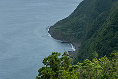 190916 Azores and Lisbon - Photo 0231