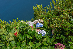 190916 Azores and Lisbon - Photo 0233