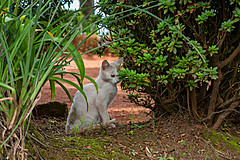 190916 Azores and Lisbon - Photo 0236