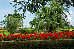 190916 Azores and Lisbon - Photo 0239