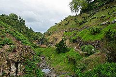 190916 Azores and Lisbon - Photo 0264
