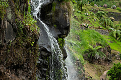 190916 Azores and Lisbon - Photo 0276