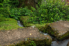 190916 Azores and Lisbon - Photo 0281