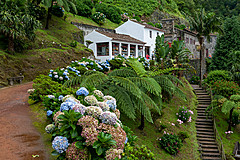 190916 Azores and Lisbon - Photo 0286