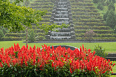 190916 Azores and Lisbon - Photo 0295