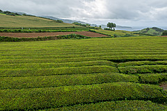 190916 Azores and Lisbon - Photo 0297