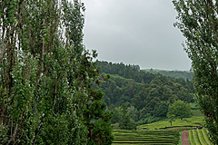 190916 Azores and Lisbon - Photo 0300