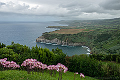 190916 Azores and Lisbon - Photo 0311