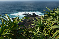 190916 Azores and Lisbon - Photo 0362