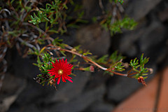 190916 Azores and Lisbon - Photo 0413