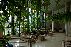 190916 Azores and Lisbon - Photo 0414