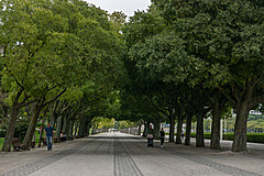 190916 Azores and Lisbon - Photo 0419